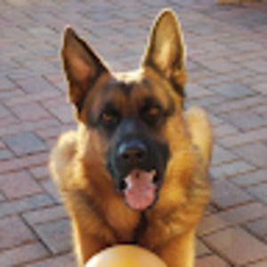 Meet your Posher, Ann